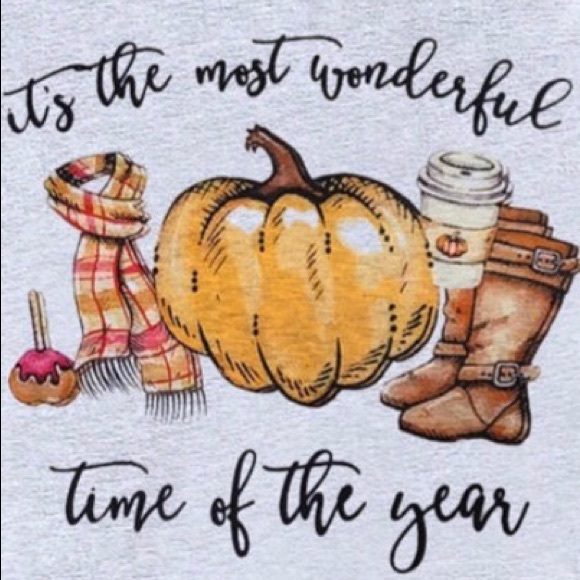 Fall Is The Most Wonderful Time Of The Year Tee - Picture 5 of 6